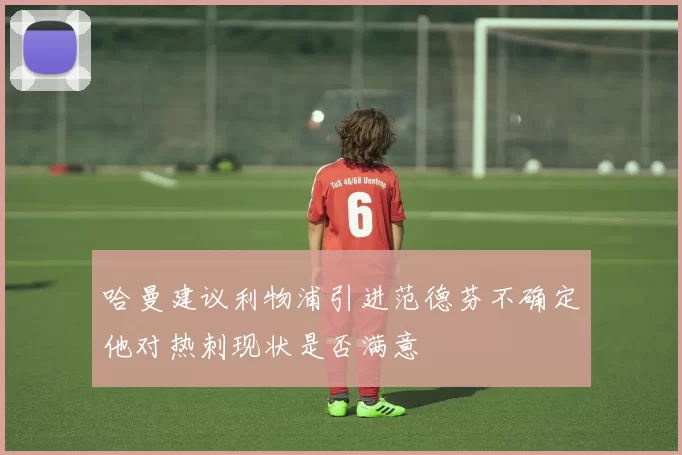 哈曼建议利物浦引进范德芬不确定他对热刺现状是否满意